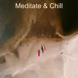 Friendly Ambience for Wellness - Meditate & Chill