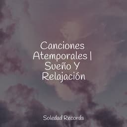 Canciones Atemporales | Sueño Y Relajación - Meditar Profundamente