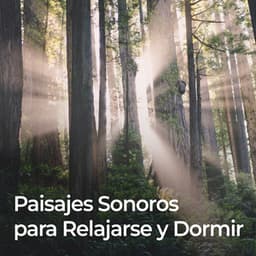 Paisajes Sonoros Para Relajarse Y Dormir - Sonidos de la Naturaleza para Dormir