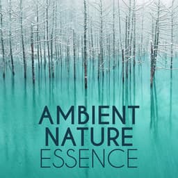 Ambient Nature Essence - Ambient Nature Sounds