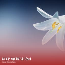 16 Songs for Deep Meditation & Yoga Specialists - Musica Relajante