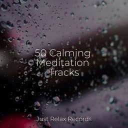 50 Calming Meditation Tracks - Lounge relax