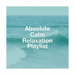 Absolute calm relaxation playlist - Musique de Relaxation