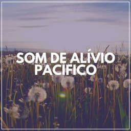 Som de Alívio Pacífico - Academia de Meditação Buddha