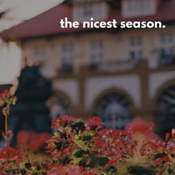 the nicest season music. - Rilassante Jazz Musica