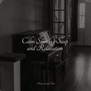 Calm Sounds | Sleep and Relaxation - Soulful Piano Group