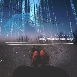 Rainy Weather and Sleep - Petalura