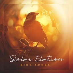Solar Elation - Bird Songs