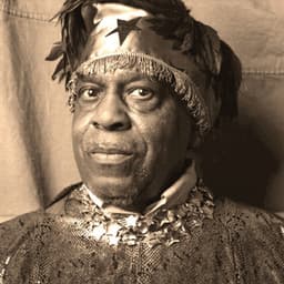 Inside The Light World: Sun Ra Meets The OVC - Sun Ra