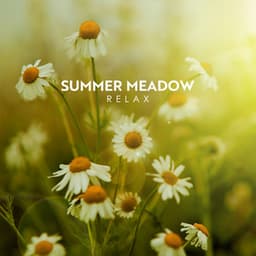 Summer Meadow Relax: Amazing Nature Sounds, Bird Songs, Brook Sounds for Relaxation - Bird Sounds