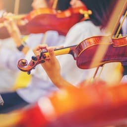 Calm Sleep Symphony: Orchestra Melodies - josegarcia