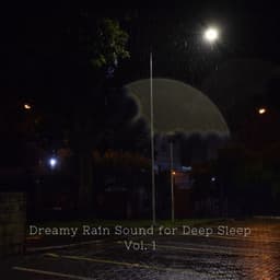 Dreamy Rain Sound for Deep Sleep Vol. 1 - Relaxing Nature Recordings