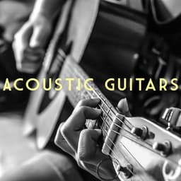 Acoustic Guitars - Spanish Guitar