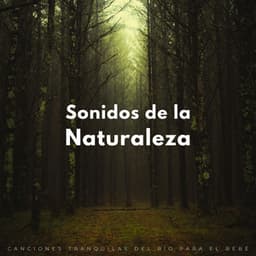 Sonidos De La Naturaleza: Canciones Tranquilas Del Río Para El Bebé - Sonidos de agua y río
