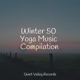 Winter 50 Yoga Music Compilation - The Rainforest Collective