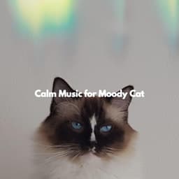 Calm Music for Moody Cat - Cena Musica Ambiente