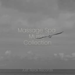 Massage Spa Music Collection - MÚSICA PARA NIÑOS