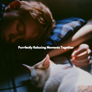 Purrfectly Relaxing Moments Together - Bossa Nova Jazz Lounge