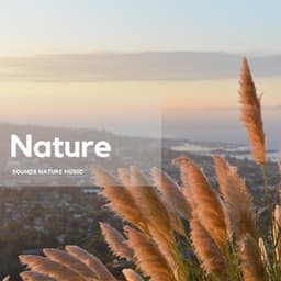 Nature’s Calm and Quiet Moments - Nature's Frequencies