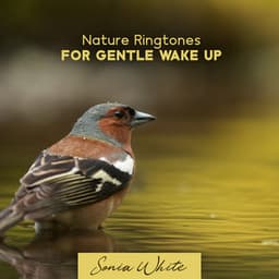 Nature Ringtones for Gentle Wake Up: Calming Water, Singing Birds & Rain - Sonia White