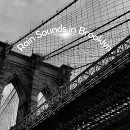 Rain Sounds in Brooklyn - Meditation Rain Sounds