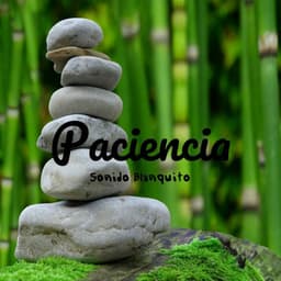 Paciencia - Sonido Blanquito
