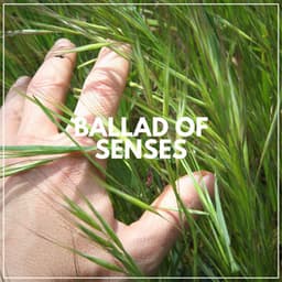 Ballad of Senses - The Solfeggio Peace Orchestra