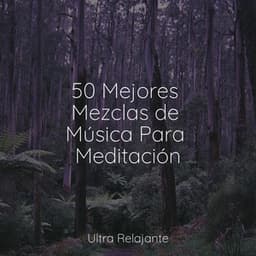 50 Mejores Mezclas de Música Para Meditación - Naturaleza Sonidos