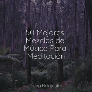 50 Mejores Mezclas de Música Para Meditación - Naturaleza Sonidos