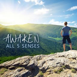 Awaken All 5 Senses - Relax Ambience
