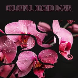 Colorful Orchid Oasis - Floral Health - HerBaLance