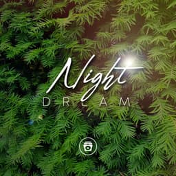 Night Dream - Spa Music