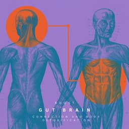 Boost Gut Brain Connection and Body Detoxification - Healing Meditation Zone