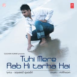 Tu Hi Mere Rab Ki Tarah Hai - Mithoon