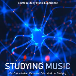 Studying Music for Concentration, Focus and Calm Music for Studying - Einstein Study Music Experience