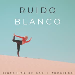 Ruido Blanco: Sinfonías De Spa Y Zumbidos - Spa de ruido blanco