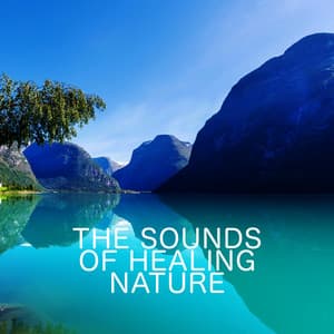 The Sounds of Healing Nature - The Healing Sounds of Nature