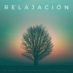 Relajación: Un Lugar Pacífico Con Musica De Piano Vol. 1 - Estado de distracción