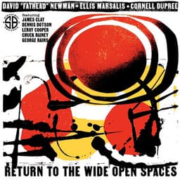 Return To The Wide Open Spaces - David "Fathead" Newman