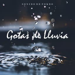 Sonido de Fondo: Gotas de Lluvia - Musica Para Leer
