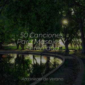 50 Canciones Para Masajes Y Serenidad - Música Instrumental Maestro