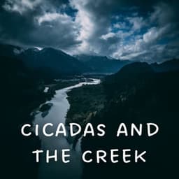 Cicadas and the Creek - Sleep Noise