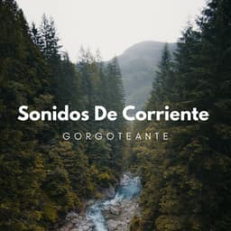 Sonidos De Corrientes Gorgoteantes - Arroyos Ventosos
