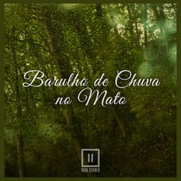 Barulho de Chuva no Mato - Para Dormir