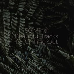 50 Mind Beautiful Tracks for Chilling Out - ASMR HD