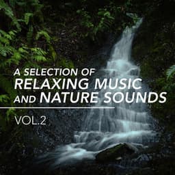 A Selection of Relaxing Music and Nature Sounds, Vol. 2 - Nature Sound Collection