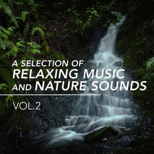 A Selection of Relaxing Music and Nature Sounds, Vol. 2 - Nature Sound Collection