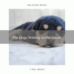 For Dogs Waiting on the Couch - Dog Total Relax