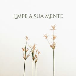 Limpe a Sua Mente: Calma e Harmonia, Sons Delicados, Relaxamento Absoluto - Academia de Música de Fundo e Ambiente