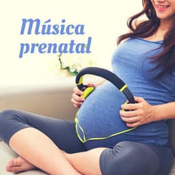 Musica prenatal – Piano con sonidos de la naturaleza para mujeres embarazadas y bebés en el vientre, meditacion y concentracion, mejor dormir y relajacion - Musica prenatal